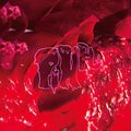Arcade Fire - Pink Elephant LP (Indie Exclusive, Booklet, With Book, Sticker, Colored Vinyl) ( VINYL )