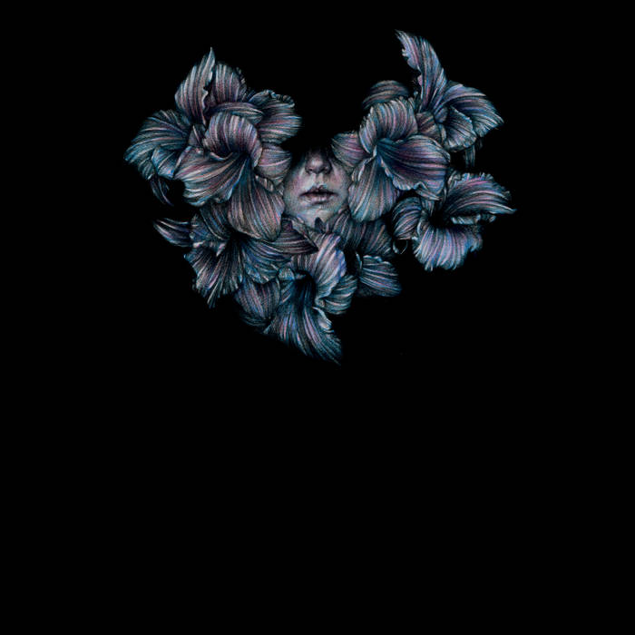 A Lot Like Birds - Divisi LP ( VINYL )