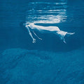 Bill Evans & Jim Hall - Undercurrent LP (Deluxe Gatefold, 180g) ( VINYL )