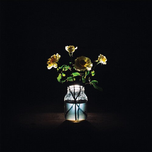 Billy Strings – Renewal 2LP (180g, Gatefold) ( VINYL )