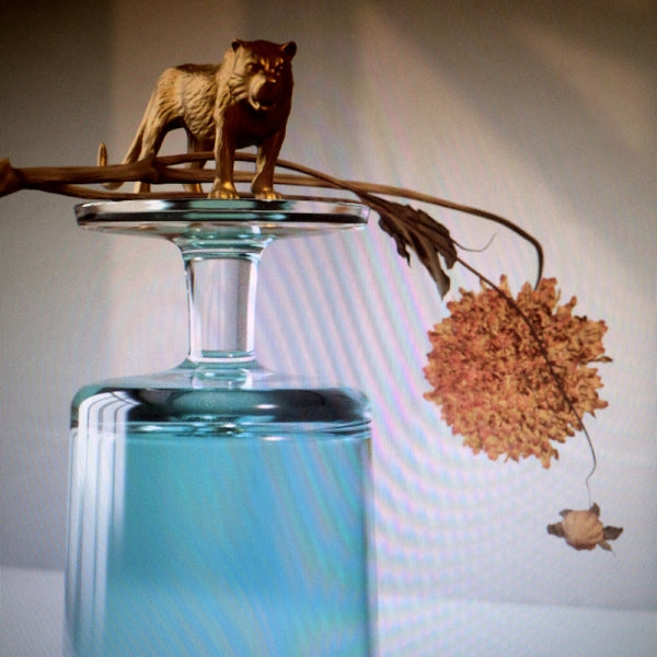 Beirut - Gallipoli LP (Indie Exclusive Turquoise Vinyl) ( VINYL )