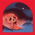 Damaged Bug – Cold Hot Plumbs LP ( VINYL )