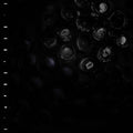 Crumb – Ice Melt LP (Gatefold) ( VINYL )
