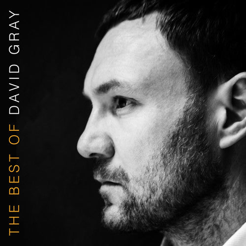 David Gray - The Best Of David Gray 2LP ( VINYL )