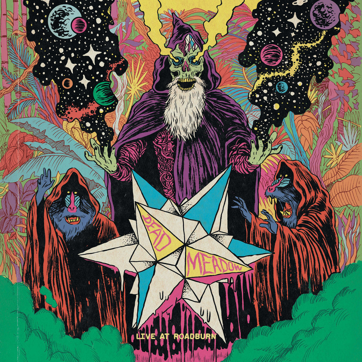 Dead Meadow - Live At Roadburn 2011 LP ( VINYL )