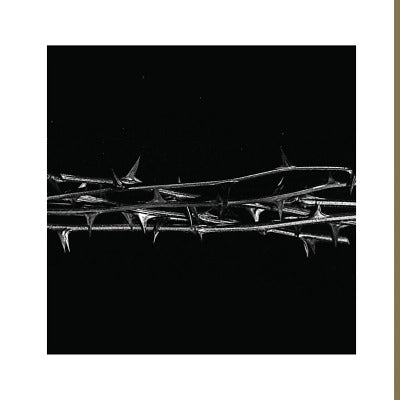 Amenra - De Doorn 2LP ( VINYL )