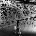 Bacillus Anthracis - And the Longest Night of Your Life CASSETTE ( VINYL )