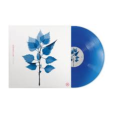 Matt Berninger - Get Sunk LP (Indie Exclusive, Blue Colored Vinyl) ( VINYL )