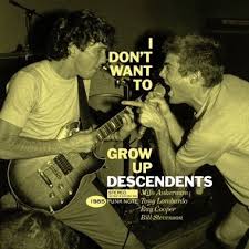 Descendents - I Don't Want to Grow Up LP (Punk Note Edition) ( VINYL )