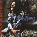 Busta Rhymes - When Disaster Strikes LP ( VINYL )