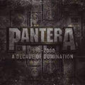 Pantera - 1990 - 2000 2LP ( VINYL )