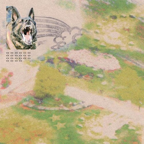 Feeble Little Horse - Girl With Fish LP (Indie Exclusive, Colored Vinyl, Gray, Black, Digital Download Card) ( VINYL )