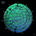 Flavien Berger - Contre-Temps 2LP (Gatefold) ( VINYL )