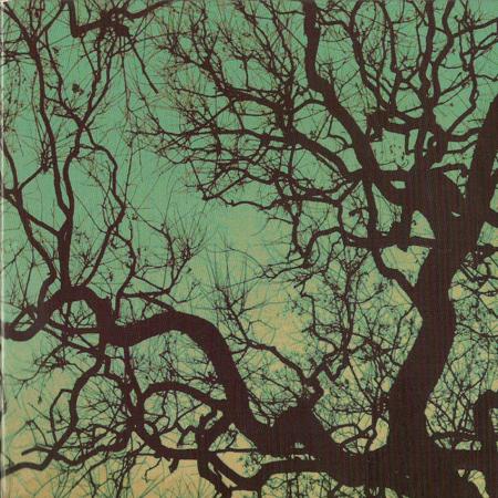 Follakzoid - S/T LP ( VINYL )