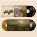 Heartless Bastards – Arrow 2LP (10th Anniversary, Black & Gold Vinyl, Gatefold) ( VINYL )