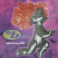 Brainiac - Smack Bunny Baby LP (Indie Exclusive, Colored Vinyl, Violet, Limited Edition) ( VINYL )