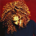 Janet Jackson - The Velvet Rope 2LP (Gatefold) ( VINYL )