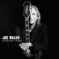 Joe Walsh - Analog Man CD ( VINYL )