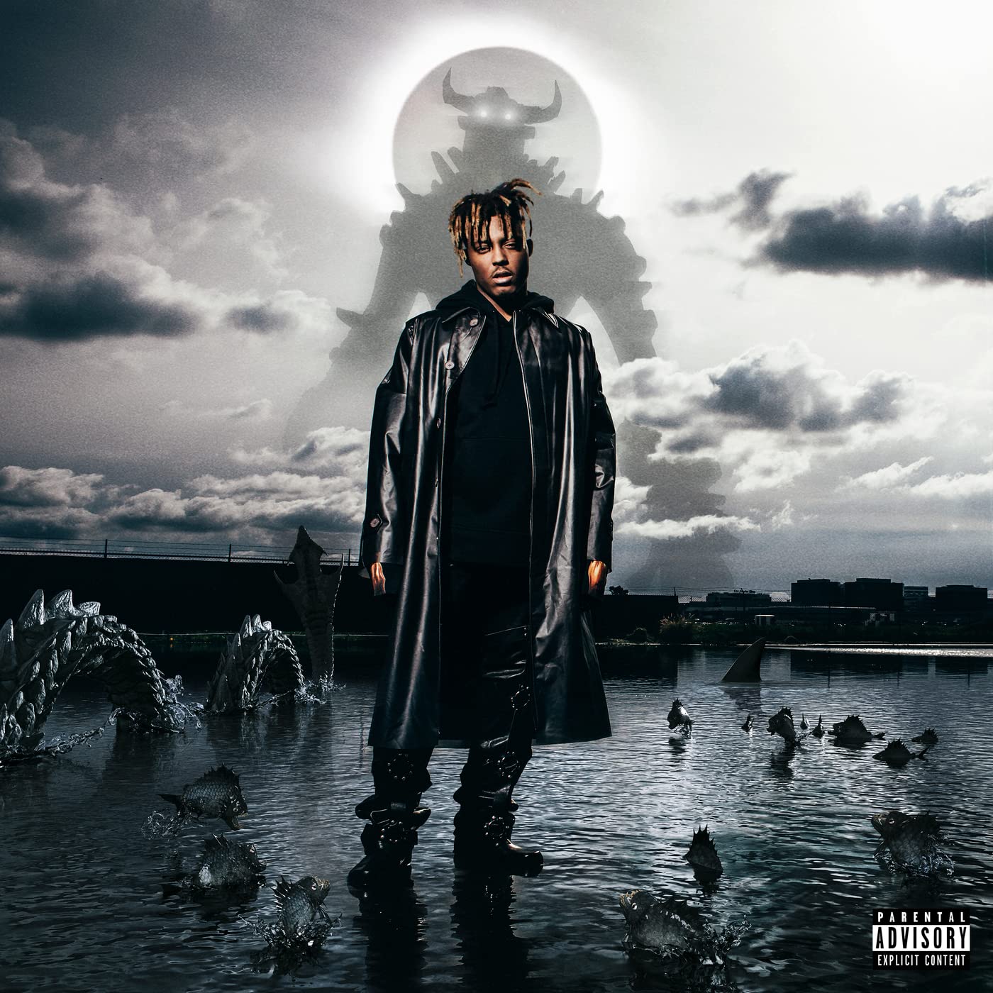 Juice WRLD - Fighting Demons 2LP (Gatefold) ( VINYL )