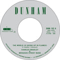 Charles Bradly & The Menahan Street Band  - Heartaches & Pain  b/w The World...7" ( VINYL )