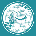 Hector Sithole - Love Love LP ( VINYL )