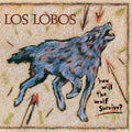 Los Lobos – How Will The Wolf Survive? LP (180g) ( VINYL )