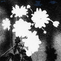 Loma Prieta - Last LP ( VINYL )