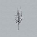 Low - Ones and Sixes LP (Digital Download Card) ( VINYL )
