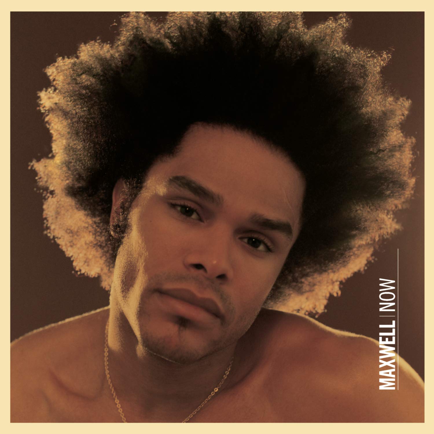 Maxwell – Now LP (20th Anniversary Edition, RSD Exclusive , 150g, Brown Vinyl) ( VINYL )