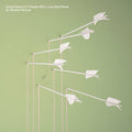 Modest Mouse – Good News For People Who Love Bad News 2LP (180g) ( VINYL )