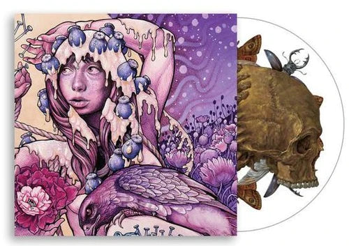 Baroness – Try To Disappear 12" (Picture Disc) ( VINYL )