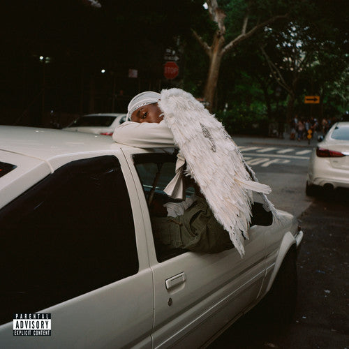 Blood Orange – Negro Swan 2LP ( VINYL )