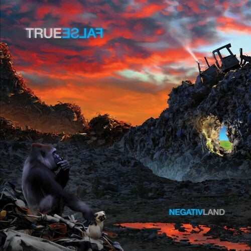 Negativland - True False 2LP ( VINYL )