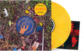 Dawes – Good Luck With Whatever LP (Yellow Vinyl, 180g, Band Photo) ( VINYL )